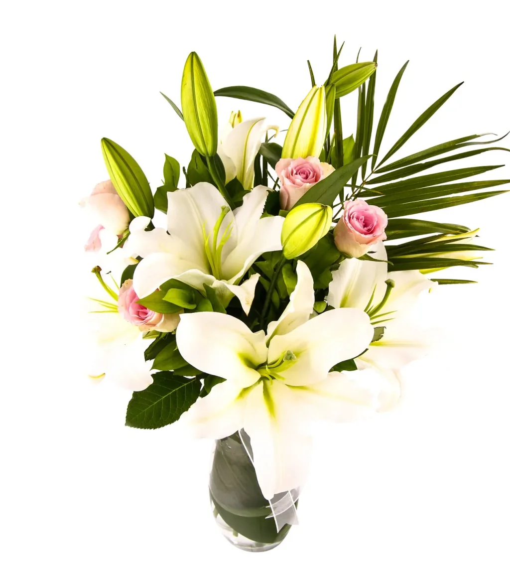 Royal White Lilyum
